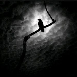 Meet your Posher, Edward